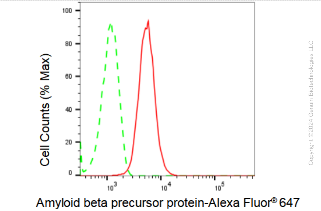 KD-Validated Anti-Amyloid beta precursor protein Rabbit Monoclonal Antibody ABG2381
