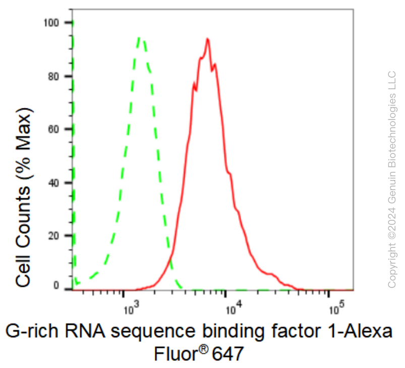 KD-Validated Anti-G-rich RNA sequence binding factor 1 Rabbit Monoclonal Antibody ABG2383