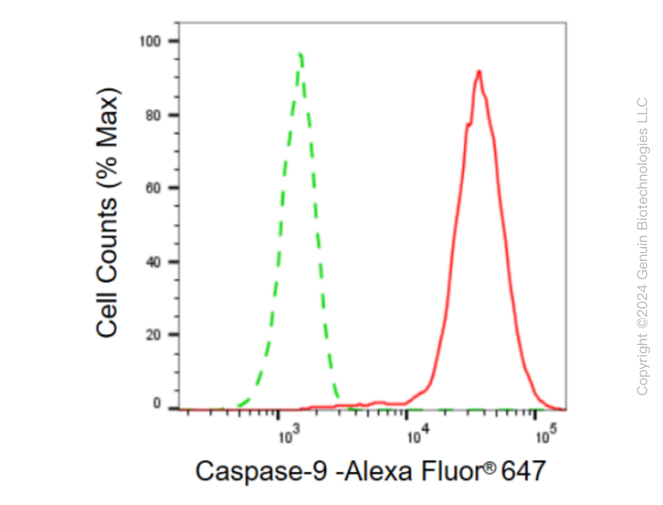 KD-Validated Anti-Caspase-9 Rabbit Monoclonal Antibody ABG2385