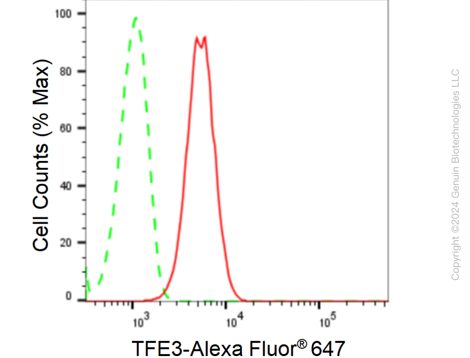 KD-Validated Anti-TFE3 Rabbit Monoclonal Antibody ABG2386