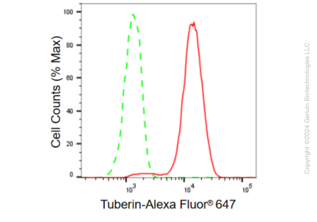 KD-Validated Anti-Tuberin Rabbit Monoclonal Antibody ABG2388