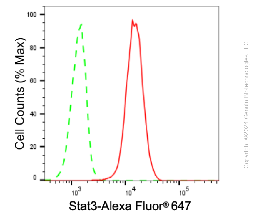 KD-Validated Anti-Stat3 Rabbit Monoclonal Antibody ABG2389