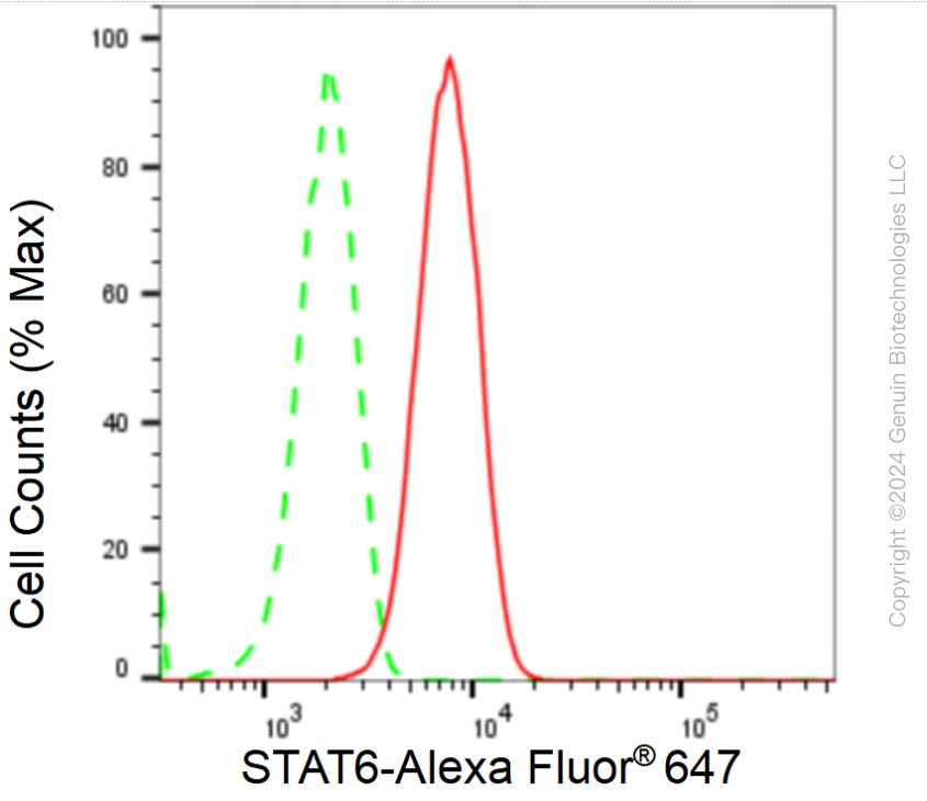 KD-Validated Anti-STAT6 Rabbit Monoclonal Antibody ABG2390