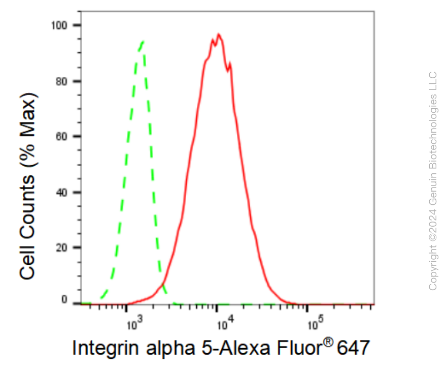 KD-Validated Anti-Integrin alpha 5 Rabbit Monoclonal Antibody ABG2392