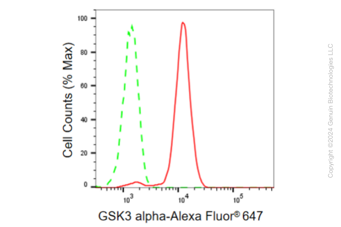 KD-Validated Anti-GSK3 alpha Rabbit Monoclonal Antibody ABG2395