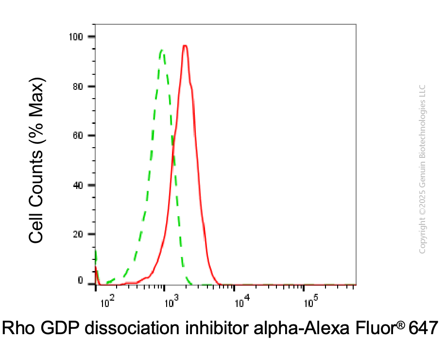 KO-Validated Anti-ARHGDIA Mouse Monoclonal Antibody ABG2402