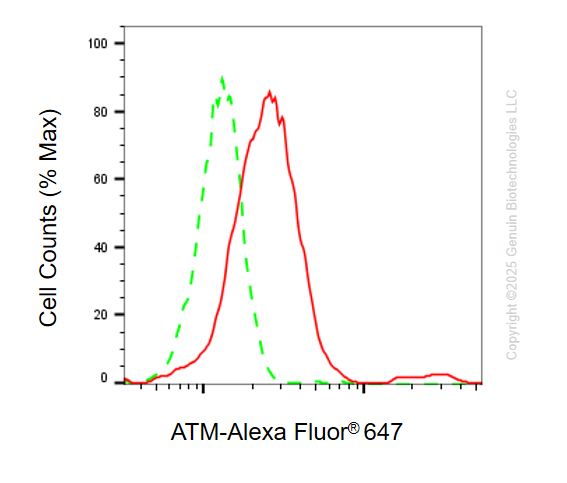 KO Validated Anti-ATM Rabbit Monoclonal Antibody ABG2406