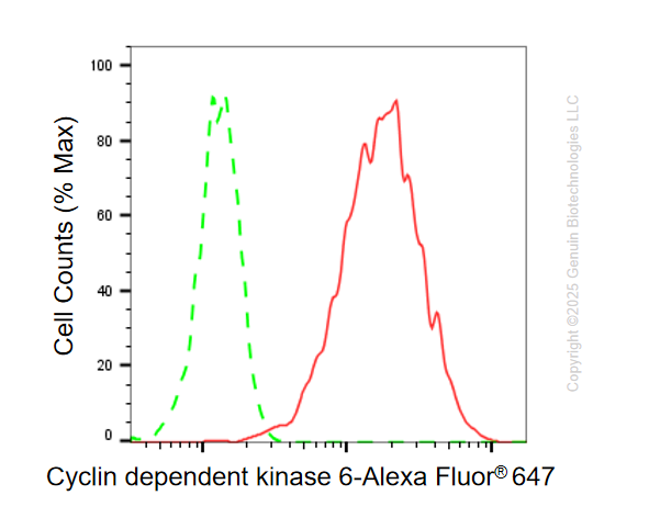 KO Validated Anti-Cyclin Dependent Kinase 6 Rabbit Monoclonal Antibody ABG2409