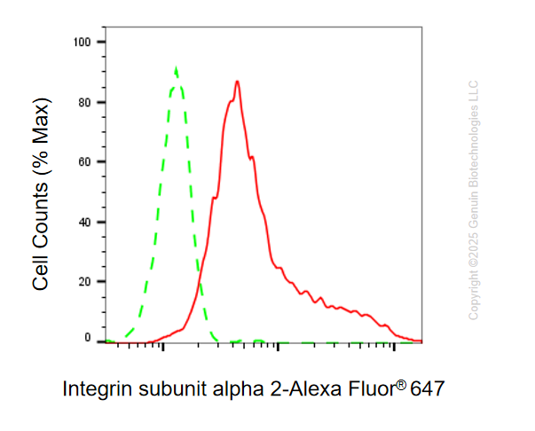 KO Validated Anti-Integrin Subunit Alpha 2 Rabbit Monoclonal Antibody ABG2410