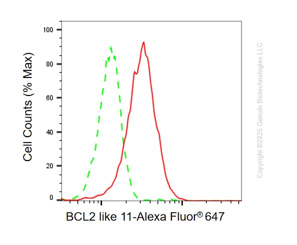 KO Validated Anti-BCL2 Like 11 Rabbit Monoclonal Antibody ABG2411