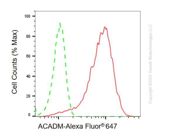 KO Validated Anti-ACADM Rabbit Monoclonal Antibody ABG2412