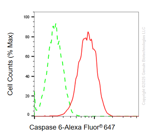 KO-Validated Anti-Caspase 6 Rabbit Monoclonal Antibody ABG2419