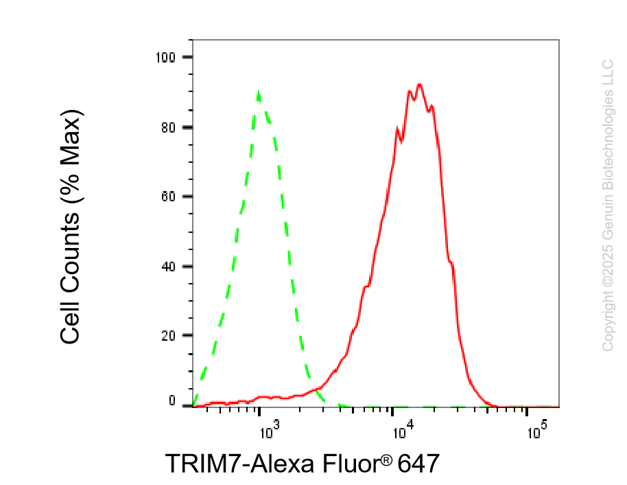 KO-Validated Anti-TRIM7 Mouse Monoclonal Antibody ABG2421