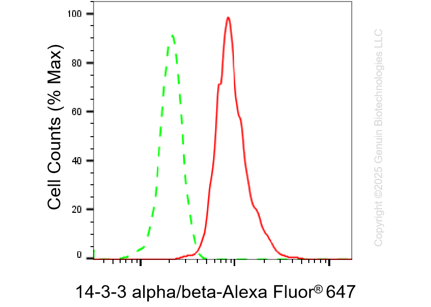 KO-Validated Anti-14-3-3 alpha/beta Rabbit Monoclonal Antibody ABG2426