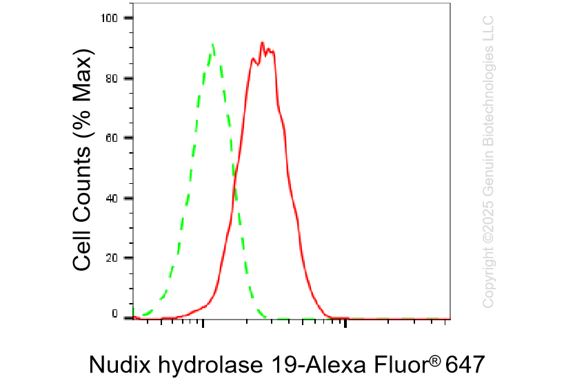 KO-Validated Anti-Nudix Hydrolase 19 Rabbit Monoclonal Antibody ABG2427