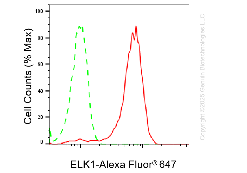 KO-Validated Anti-ETS Transcription Factor ELK1 Rabbit Monoclonal Antibody ABG2428