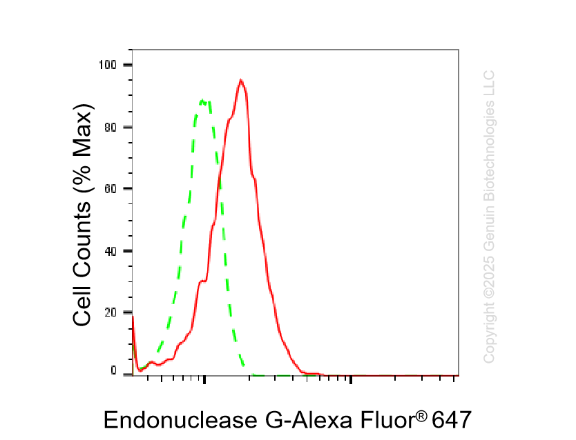 KO-Validated Anti-Endonuclease G Rabbit Monoclonal Antibody ABG2430