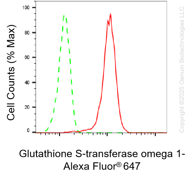 KO-Validated Anti-GSTO1 Rabbit Monoclonal Antibody ABG2431