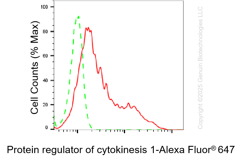 KO-Validated Anti-Protein Regulator Of Cytokinesis 1 Rabbit Monoclonal Antibody ABG2432