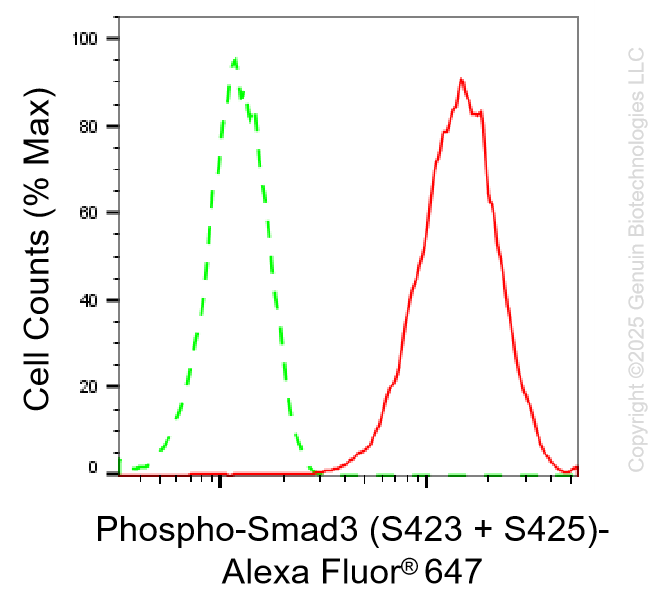 KO-Validated Anti-Phospho-Smad3 (S423 + S425) Rabbit Monoclonal Antibody ABG2433