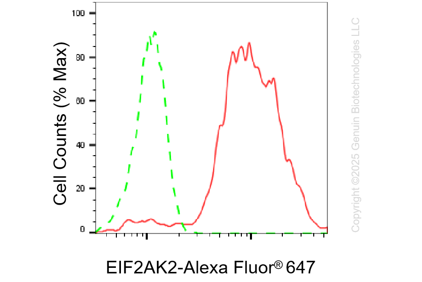KO-Validated Anti-EIF2AK2 Rabbit Monoclonal Antibody ABG2437