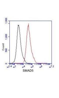 Smad5 (4B10) Mouse mAb ABZ3851