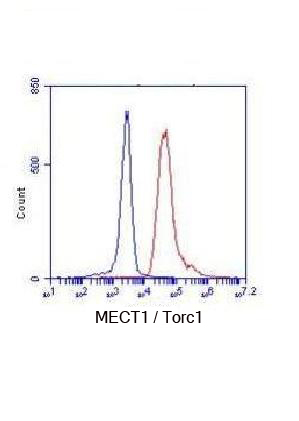TORC1/CRTC1 Mouse mAb ABZ3872