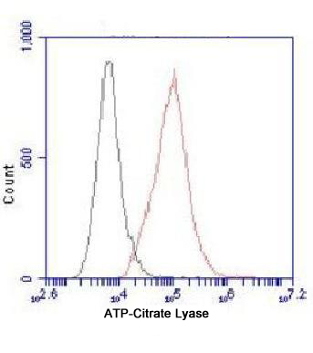 ATP Citrate Lyase (3D9) Mouse mAb ABZ3940