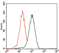 PHC1 (8G5) Mouse mAb ABZ4088