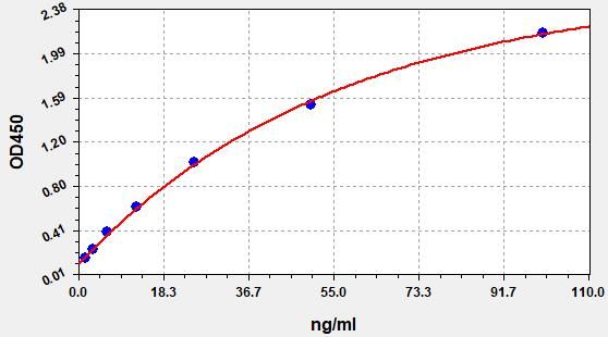 Human Anti-Glutamic Acid Decarboxylase antibody (GAD-Ab) ELISA Kit EKFT10088HU