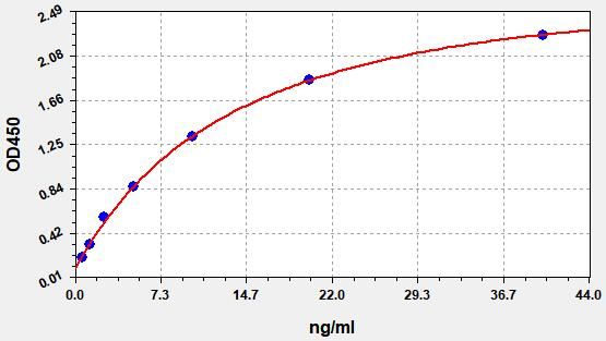 Monkey Immunoglobulin E (IgE) ELISA Kit EKFT10146MK