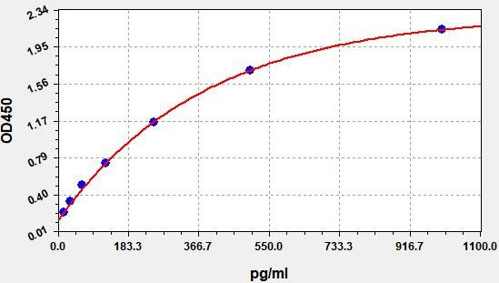 Rat Intact PaRathormone (I-PTH) ELISA Kit EKFT10173RAT