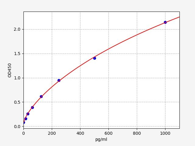 Guinea pig Interferon Gamma (IFN-γ) ELISA Kit EKFT10586GP