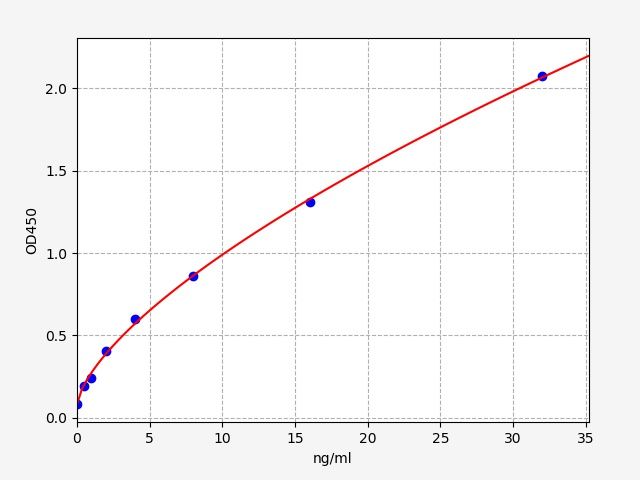 Human Matrix Metalloproteinase 2 (MMP-2) ELISA Kit EKFT10649HU