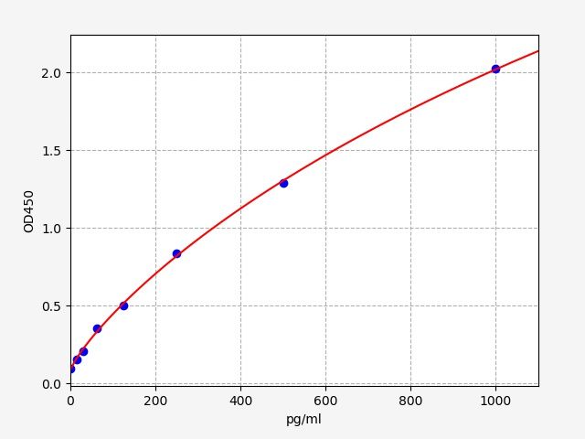 Human Brain Derived Neurotrophic Factor (BDNF) ELISA Kit EKFT10667-CMHU