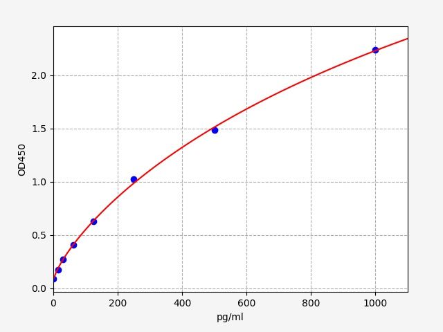Human Interleukin 24 (IL-24) ELISA Kit EKFT10803HU
