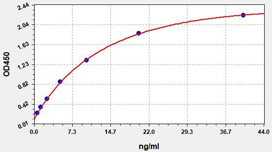 Human Proprotein convertase subtilisin/kexin type 9 (PCSK9) ELISA Kit EKFT10852HU