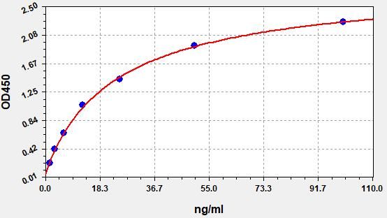 Human Immunoglobulin G (IgG) ELISA Kit EKFT10949HU