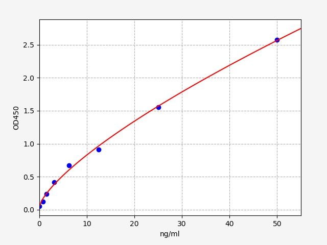 Human Tumor necrosis factor receptor superfamily member 8 (TNFRSF8) ELISA Kit EKFT11056HU
