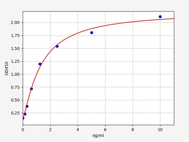 Human Insulin-like 3 (INSL3) ELISA Kit EKFT11142HU