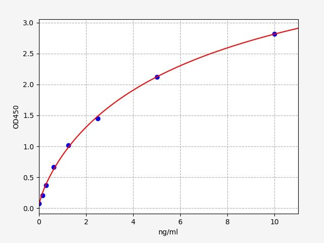 Human Arylsulfatase A (ARSA) ELISA Kit EKFT11178HU