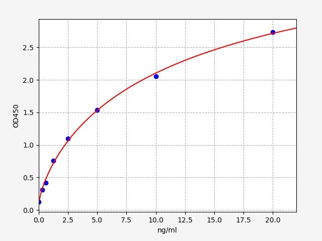 Human Solute carrier family 12 member 1 (SLC12A1) ELISA Kit EKFT11203HU