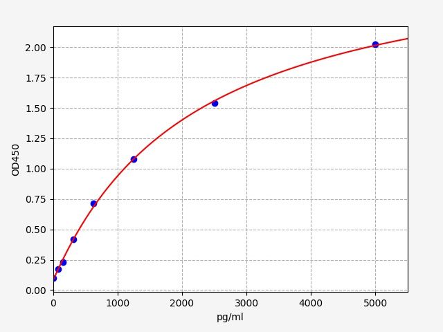 Human Neurogenic locus notch homolog protein 1 (NOTCH1) ELISA Kit EKFT11279HU