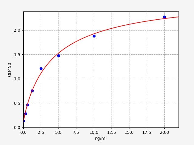Human Methyltransferase-like protein 1 (METTL1) ELISA Kit EKFT11350HU