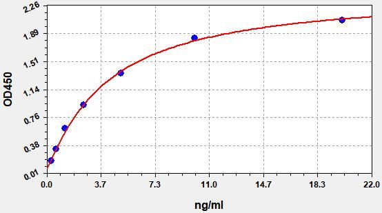 Human 2'-5'-oligoadenylate synthase 2 (OAS2) ELISA Kit EKFT11379HU