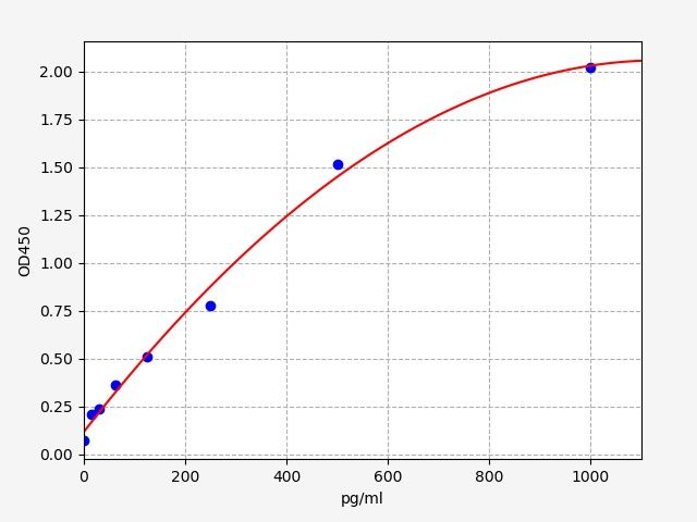 Human NUAK family SNF1-like kinase 2 (NUAK2) ELISA Kit EKFT11462HU