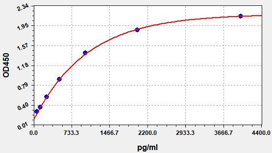 Human T-cell surface glycoprotein CD8 alpha chain (CD8A) ELISA Kit EKFT11505HU