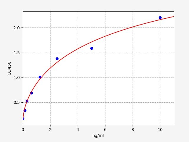 Human ATP-binding cassette sub-family B member 5 (ABCB5) ELISA Kit EKFT11671HU