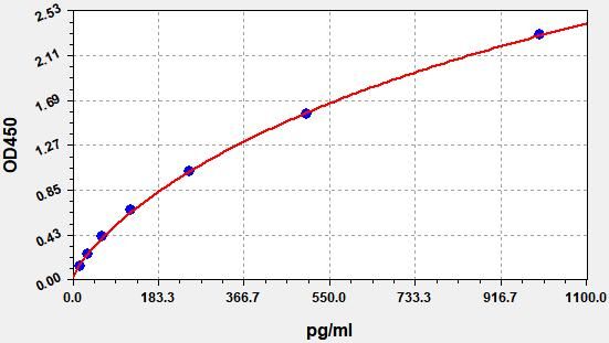 Human Replication protein A 32 kDa subunit (RPA2) ELISA Kit EKFT11703HU