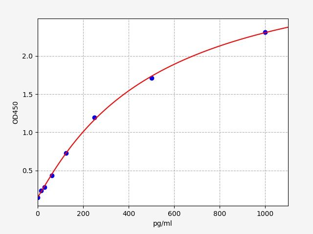 Human 60S ribosomal protein L8 (RPL8) ELISA Kit EKFT11713HU